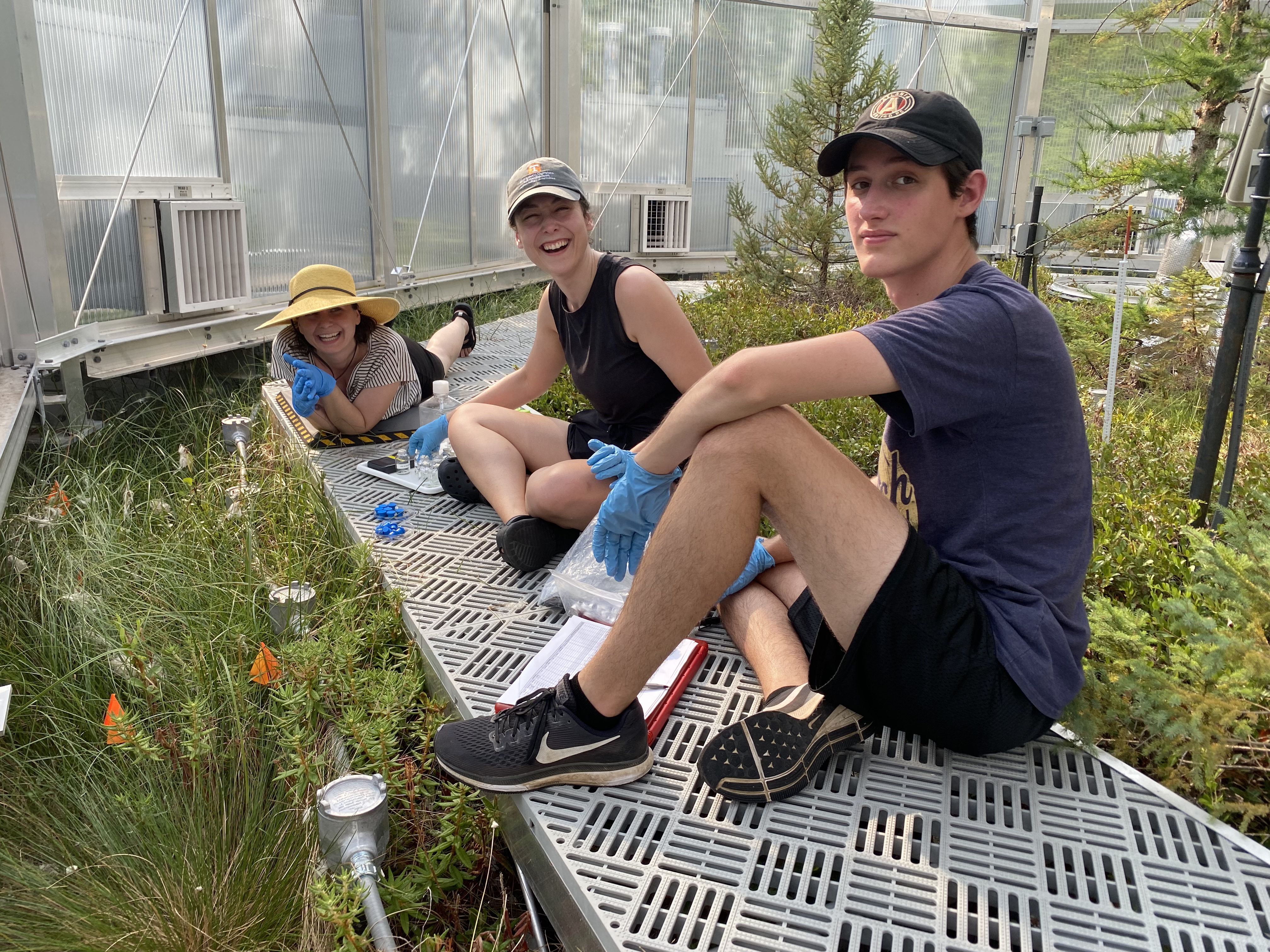 Postdoctoral Researcher Caitlin Petro, PhD student Katherine Duchesneau, and undergraduate student Sekou Noble-Kuchera in a SPRUCE chamber.