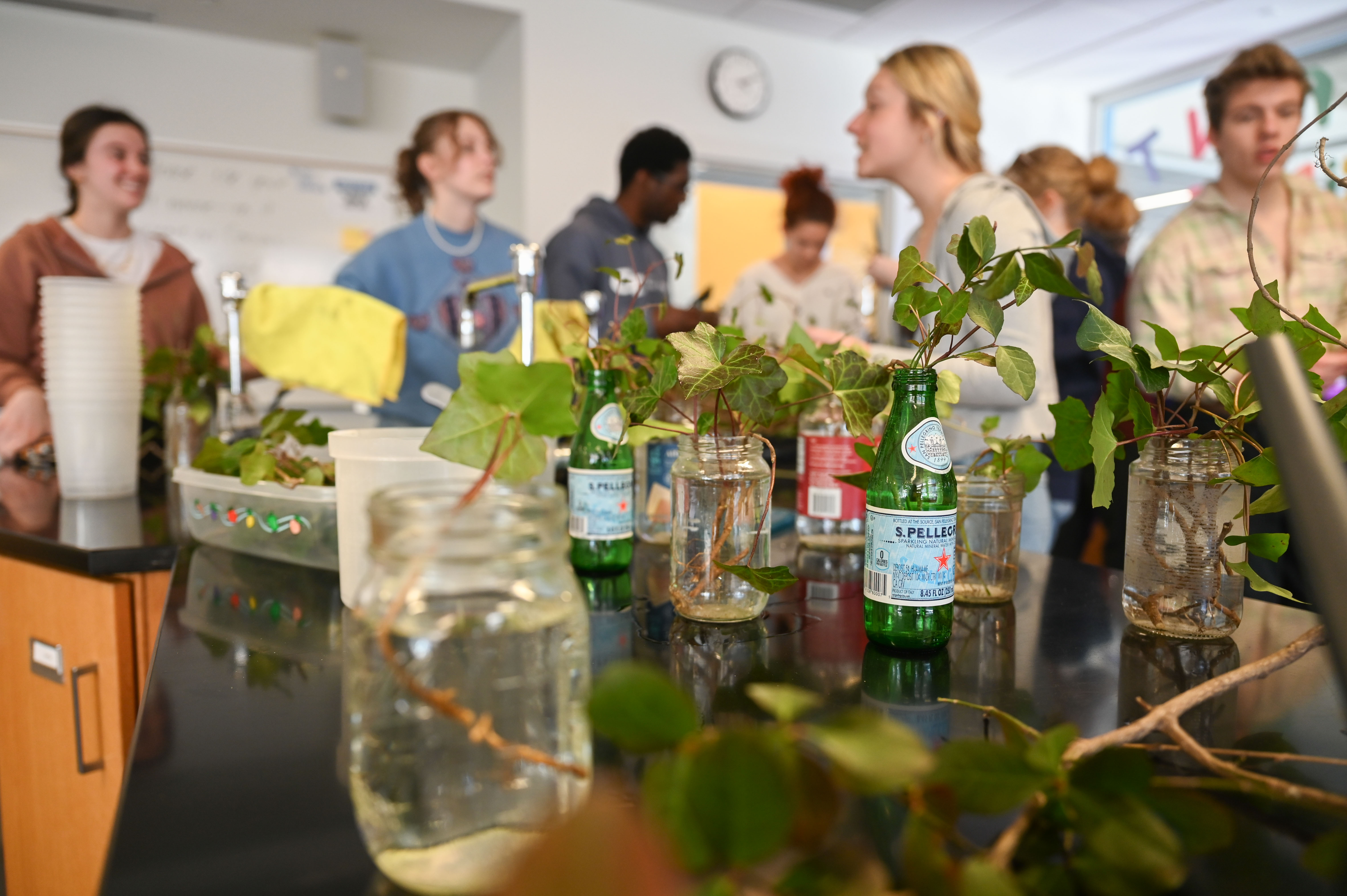 Students participate in the Plant Library.