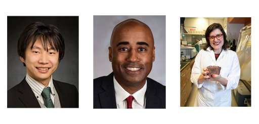 Koki Ho, Stephen Ruffin, and Jennifer Glass