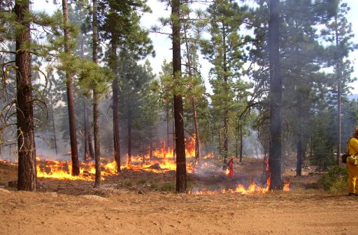 Controlled Wildland Burn